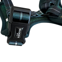 Tartan Blue/Green Harness