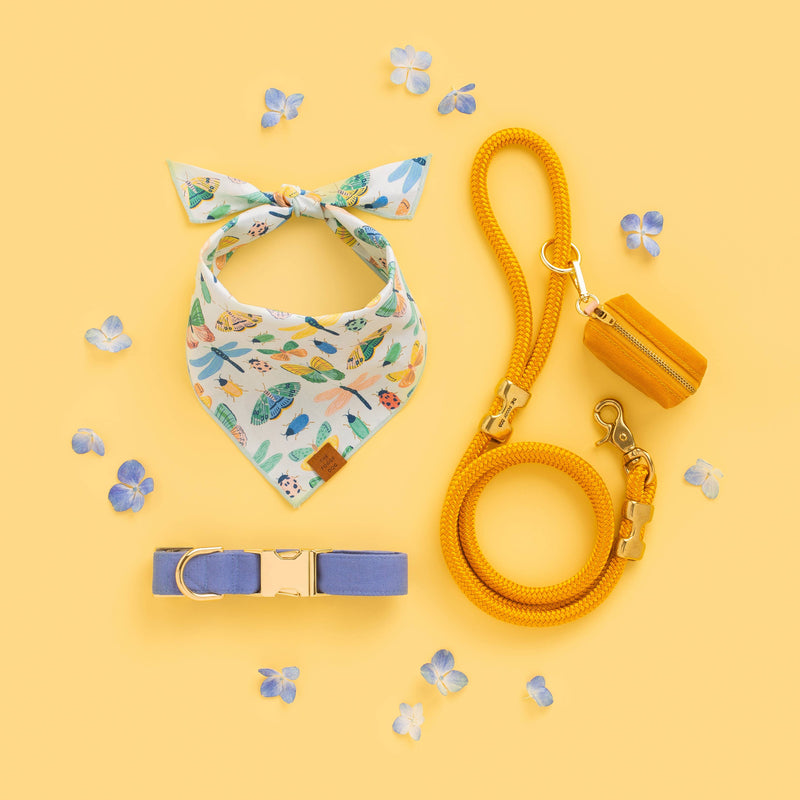 Golden Yellow Marine Rope Dog Leash