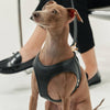 Black Vegan Leather Harness Jala