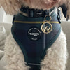Tartan Blue/Green Harness
