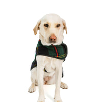 Navy Tartan Blanket Coat