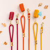 Golden Yellow Marine Rope Dog Leash