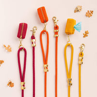 Golden Yellow Marine Rope Dog Leash