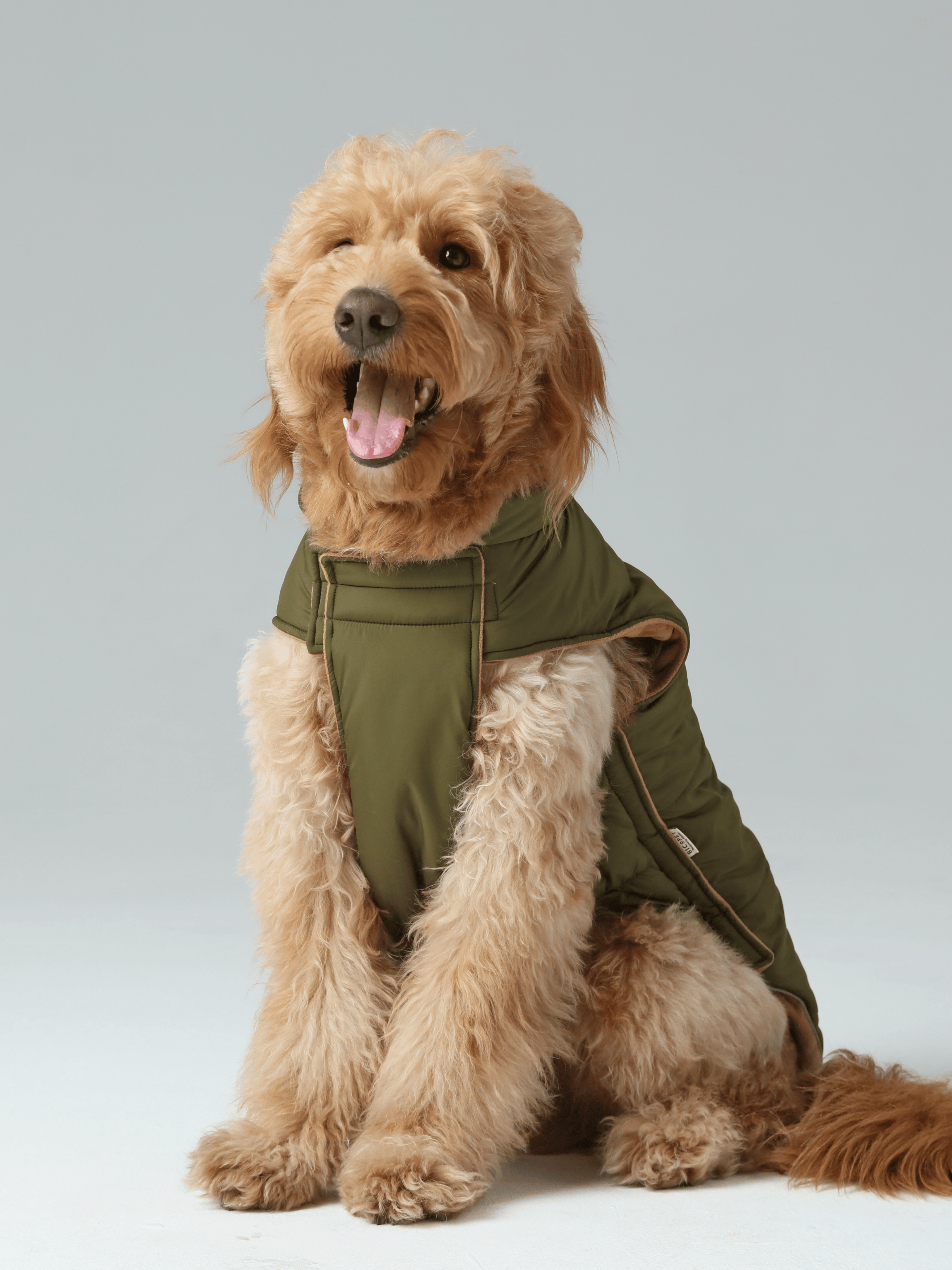 Reversible Dog Jacket - Green/Camel