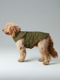 Reversible Dog Jacket - Green/Camel