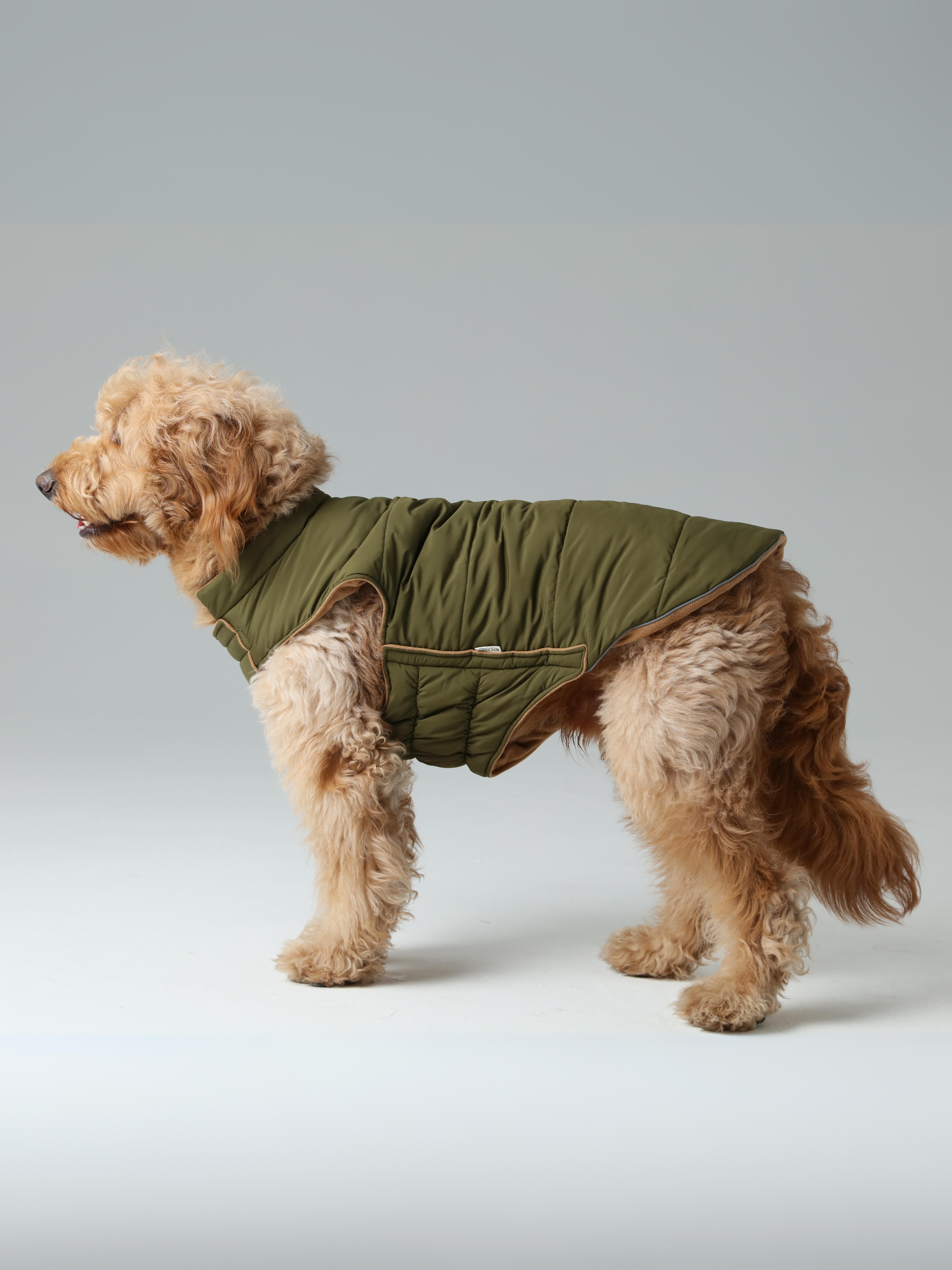 Reversible Dog Jacket - Green/Camel