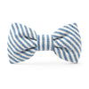 Blue Stripe Summer Dog Bow Tie