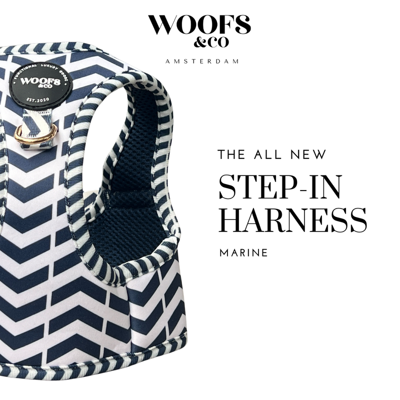Step-In Harness in Navy Marine