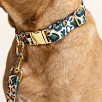 Preppy Leopard Print Dog Collar