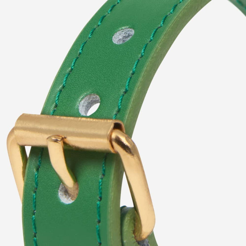 Heart Stud Collar in Green