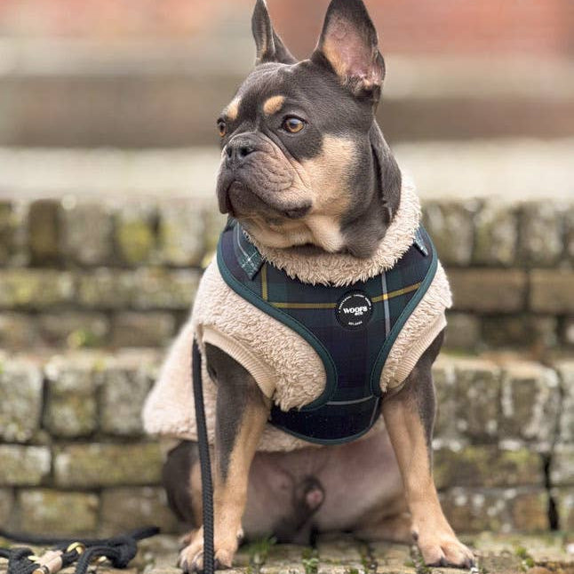 Tartan Blue/Green Harness