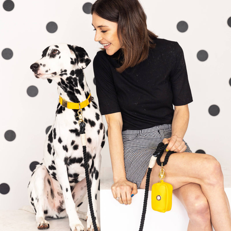 Yellow Poop Bag Holder & Treat Pouch