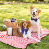 Crayfish Party Lady Dog Bow