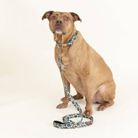 Preppy Leopard Dog Lead