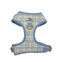 Harness in Boucle Blue