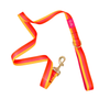 Striped Dog Leash