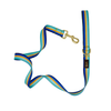 Striped Blues Dog Leash