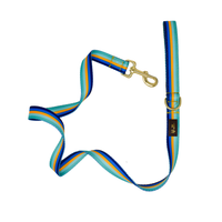 Striped Blues Dog Leash