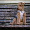 Step-In Harness in Houndstooth Beige