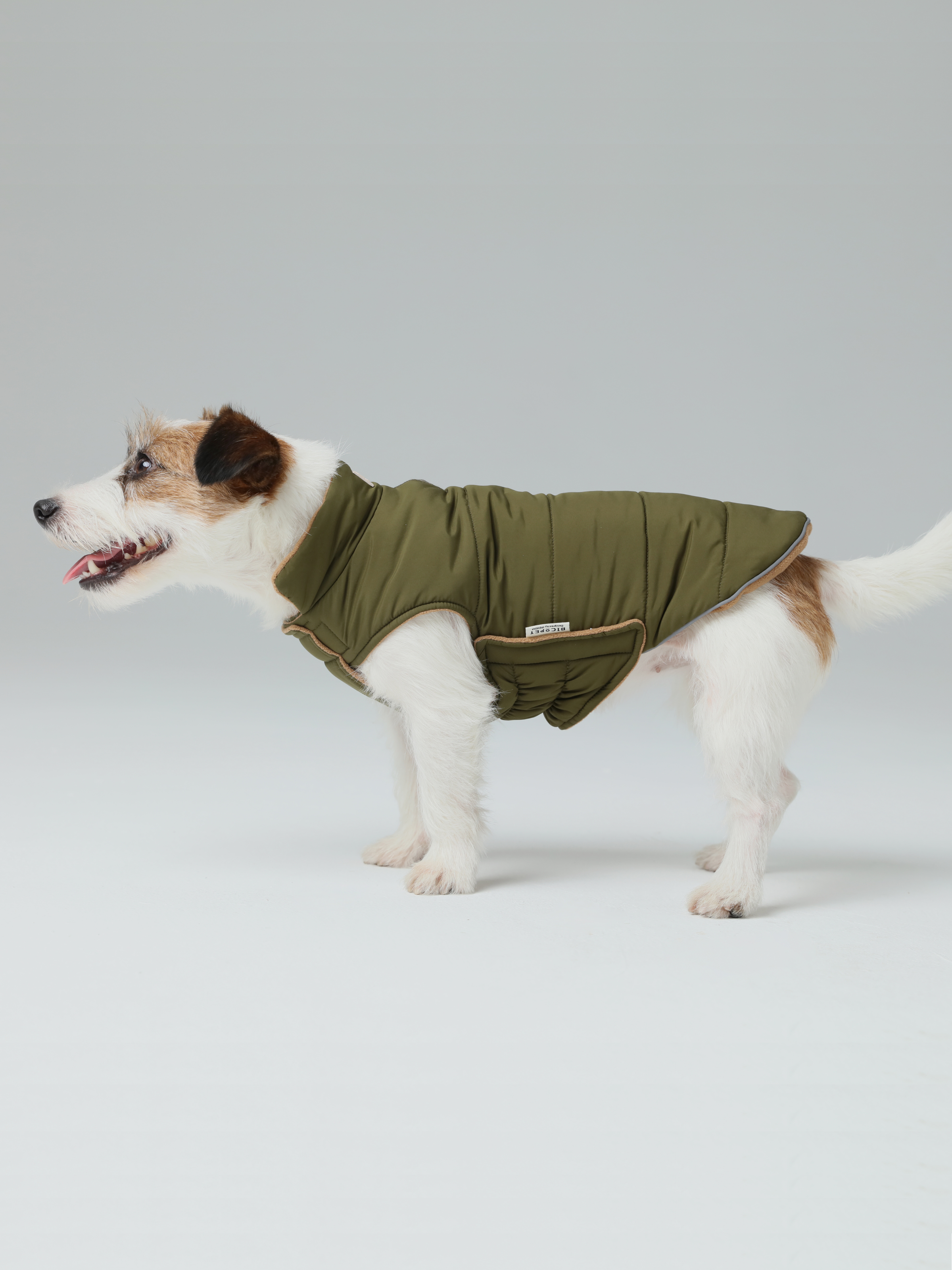 Reversible Dog Jacket - Green/Camel