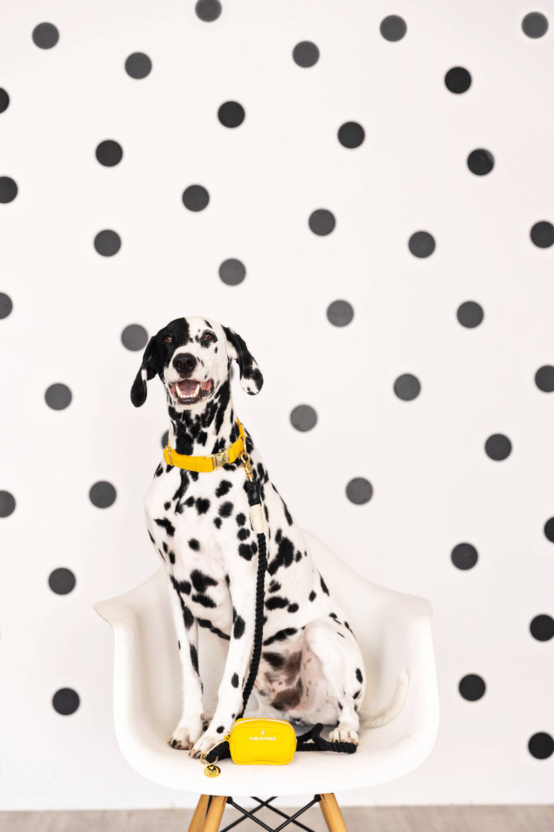 Yellow Poop Bag Holder & Treat Pouch