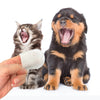 Dental Wipes