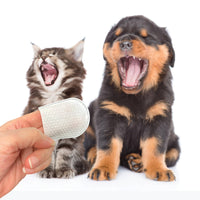 Dental Wipes