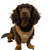 Harness in Teddy Camel