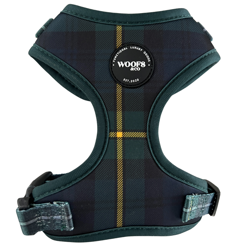Tartan Blue/Green Harness