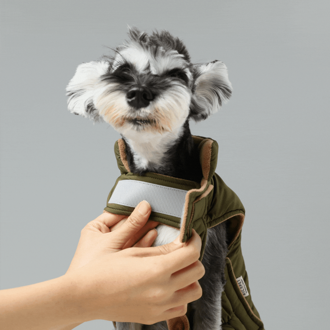 Reversible Dog Jacket - Green/Camel