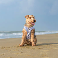 Step-In Harness in Navy Marine