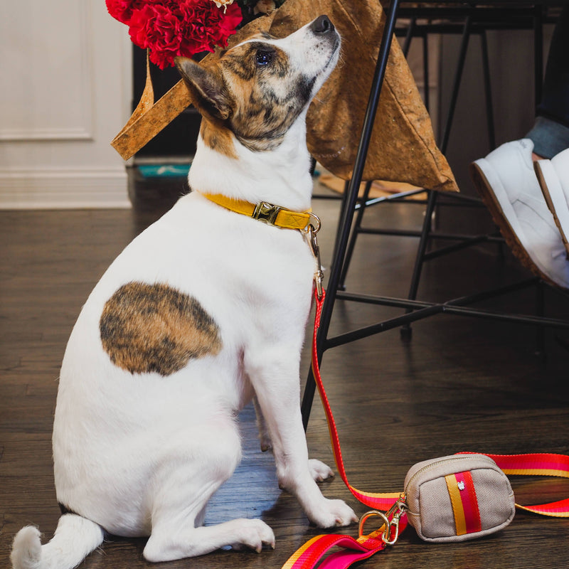 Preppy Striped Poop Bag Holder & Treat Pouch