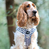 Step-In Harness in Navy Marine