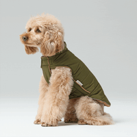 Reversible Dog Jacket - Green/Camel