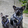 Houndstooth Harness