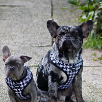 Houndstooth Harness