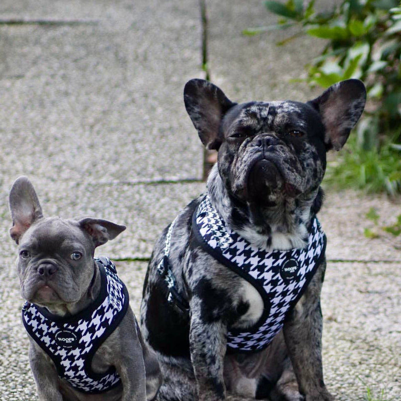 Houndstooth Harness