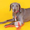 Preppy Striped Poop Bag Holder & Treat Pouch