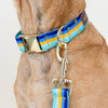 Striped Blues Dog Collar