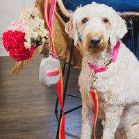 Preppy Striped Poop Bag Holder & Treat Pouch