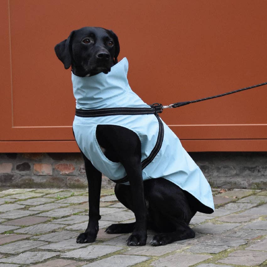 Raincoat for dogs with reflective details