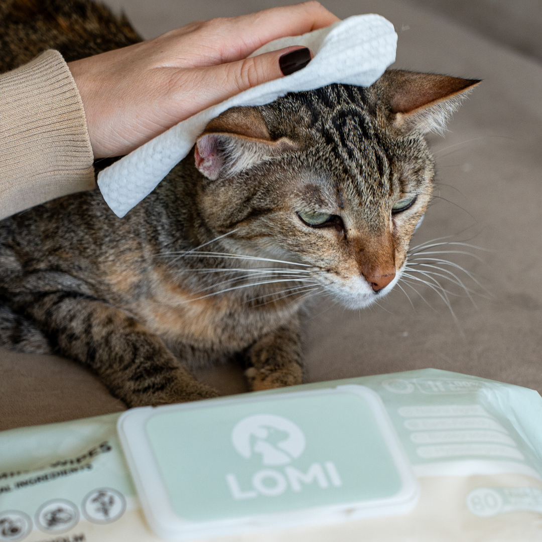 Bamboo Grooming Wipes