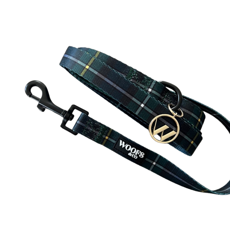 Tartan Blue Green Leash