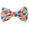 Birthday Party Dog Bow Tie