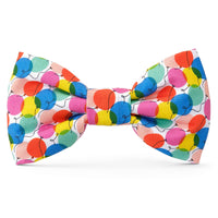 Birthday Party Dog Bow Tie