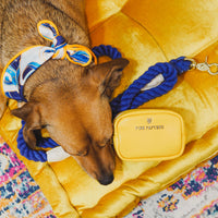 Yellow Poop Bag Holder & Treat Pouch