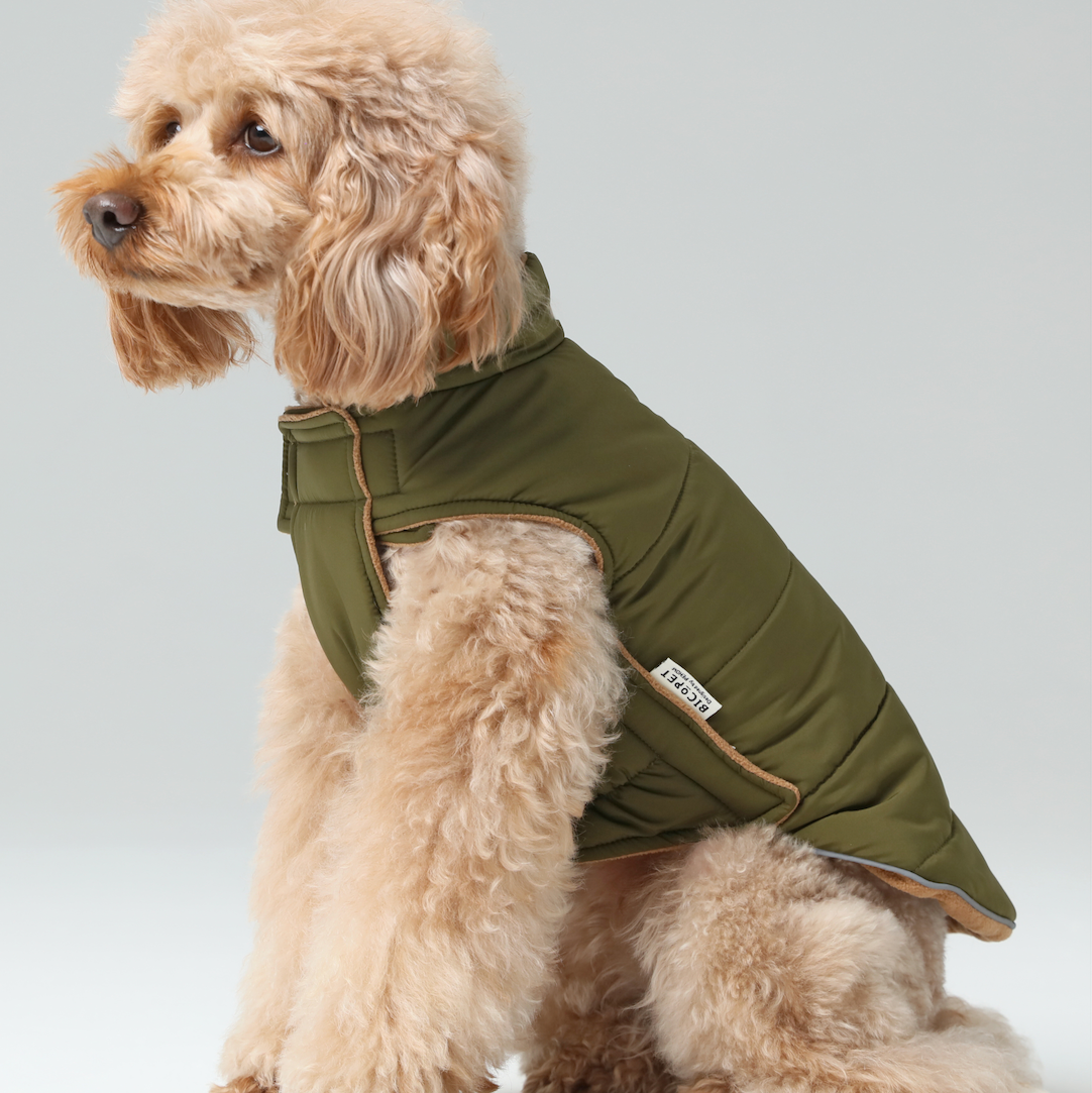 Reversible Dog Jacket - Green/Camel