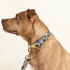 Preppy Leopard Print Dog Collar