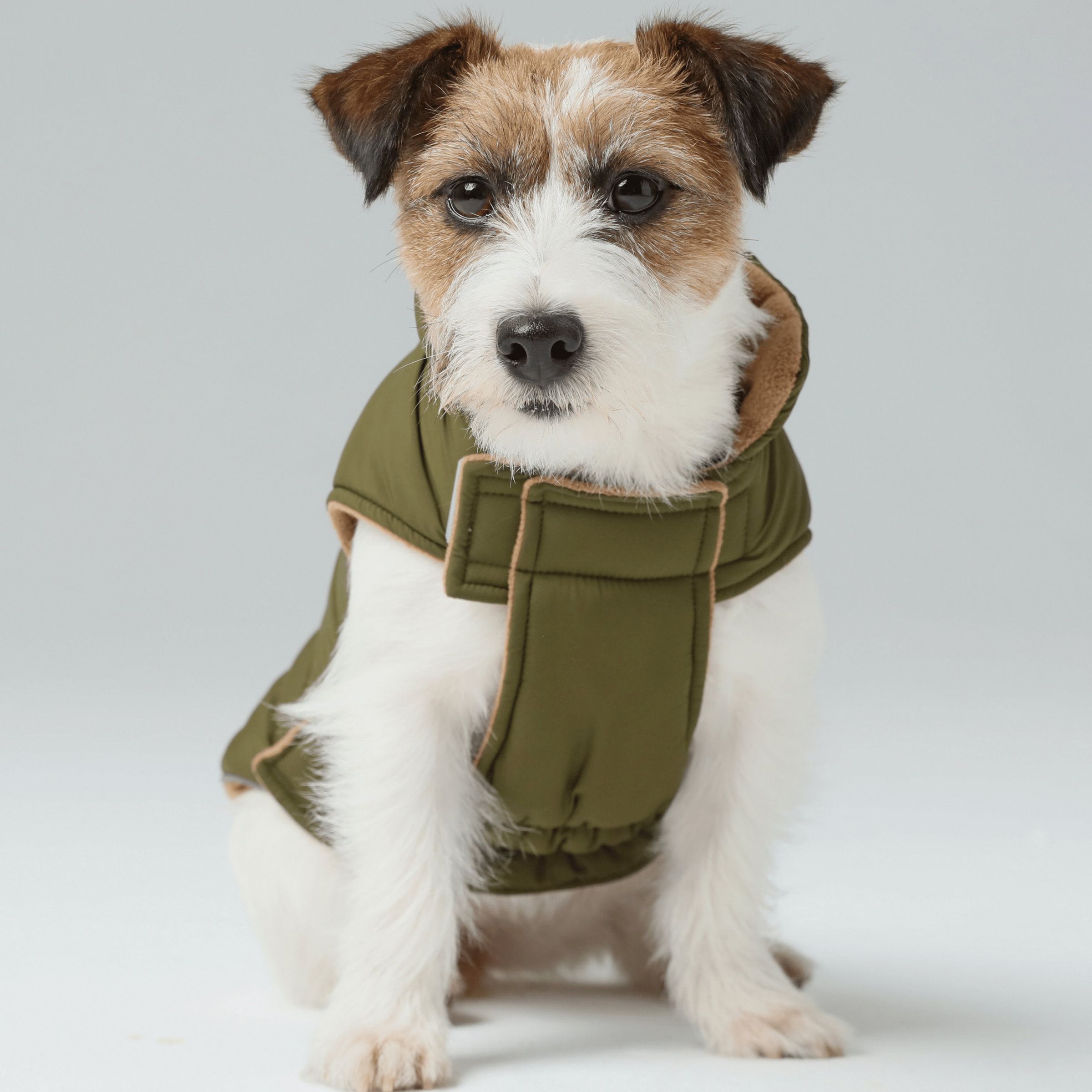 Reversible Dog Jacket - Green/Camel