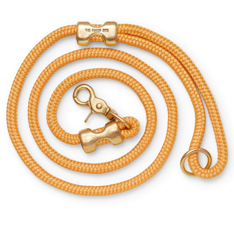 Golden Yellow Marine Rope Dog Leash